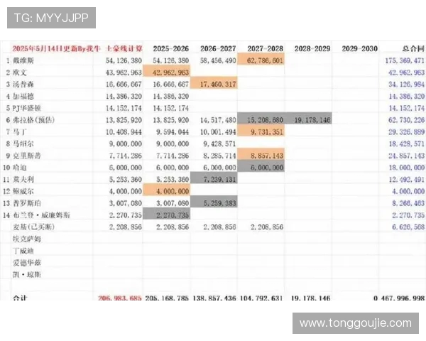 职业联赛球队薪资结构的宏观调控赛